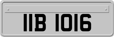 IIB1016