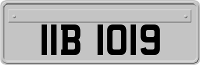 IIB1019