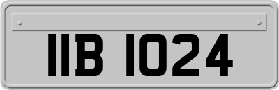 IIB1024