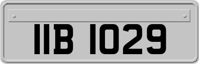 IIB1029