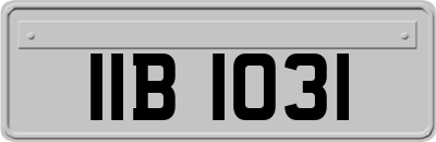 IIB1031