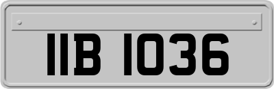 IIB1036