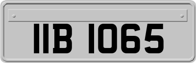 IIB1065