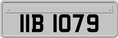 IIB1079