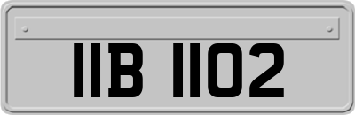 IIB1102