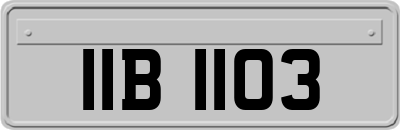 IIB1103