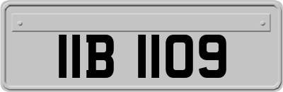 IIB1109