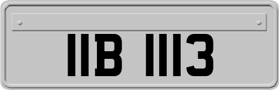 IIB1113