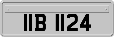 IIB1124