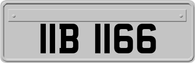 IIB1166