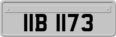 IIB1173