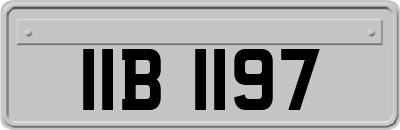IIB1197