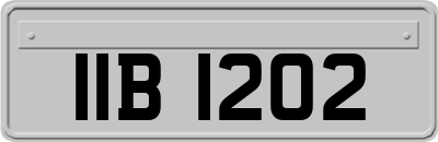 IIB1202