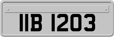 IIB1203