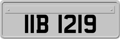 IIB1219