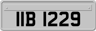 IIB1229
