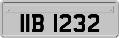 IIB1232