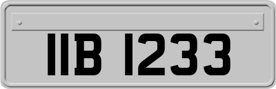 IIB1233