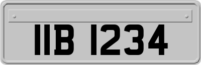 IIB1234