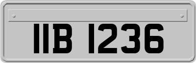 IIB1236