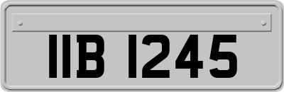 IIB1245