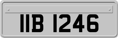 IIB1246
