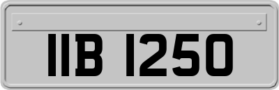 IIB1250