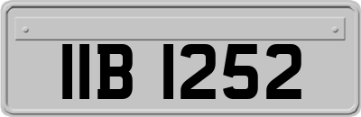 IIB1252