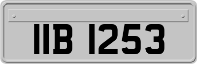 IIB1253