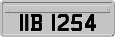 IIB1254