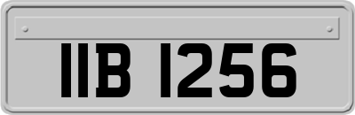 IIB1256