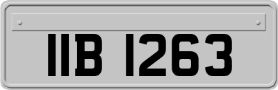 IIB1263