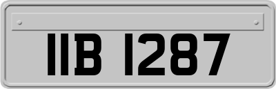 IIB1287