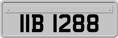 IIB1288
