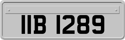 IIB1289