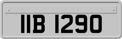 IIB1290