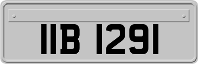 IIB1291