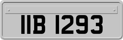 IIB1293