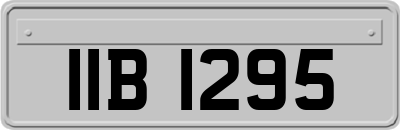 IIB1295