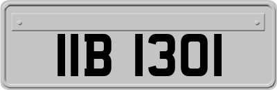 IIB1301