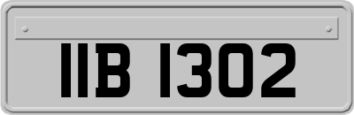 IIB1302