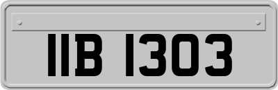 IIB1303