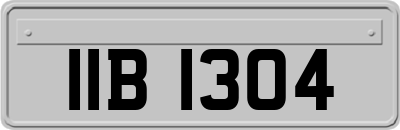 IIB1304