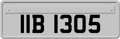 IIB1305