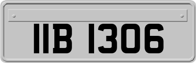 IIB1306