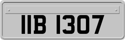 IIB1307