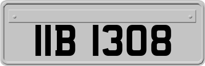IIB1308