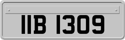 IIB1309