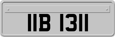 IIB1311