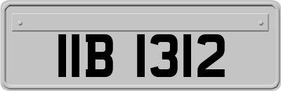 IIB1312
